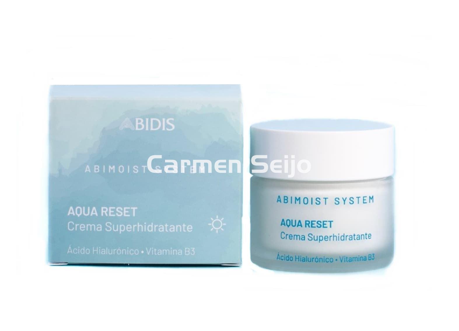 Abidis Crema Hidratante Aqua Reset Abimoist System - Imagen 1