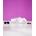 Ainhoa Cosmetics Crema Antiedad con Bakuchiol Phyto Retin+ - Imagen 2