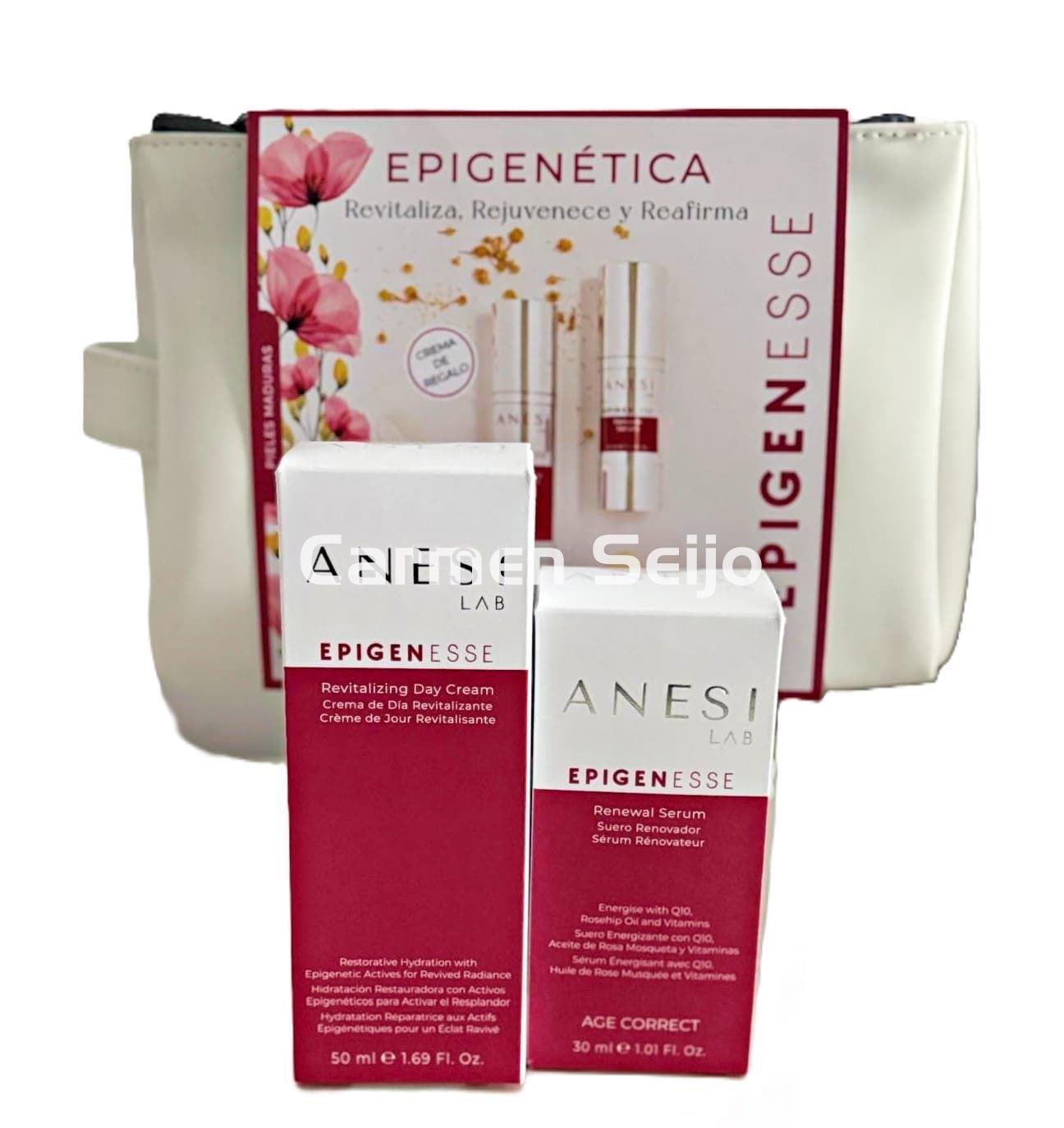 Anesi Lab Pack Antiedad Crema día y Sérum Epigenesse - Imagen 1