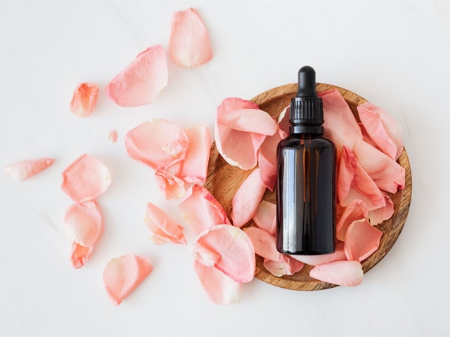 Venta online de productos 100% veganos