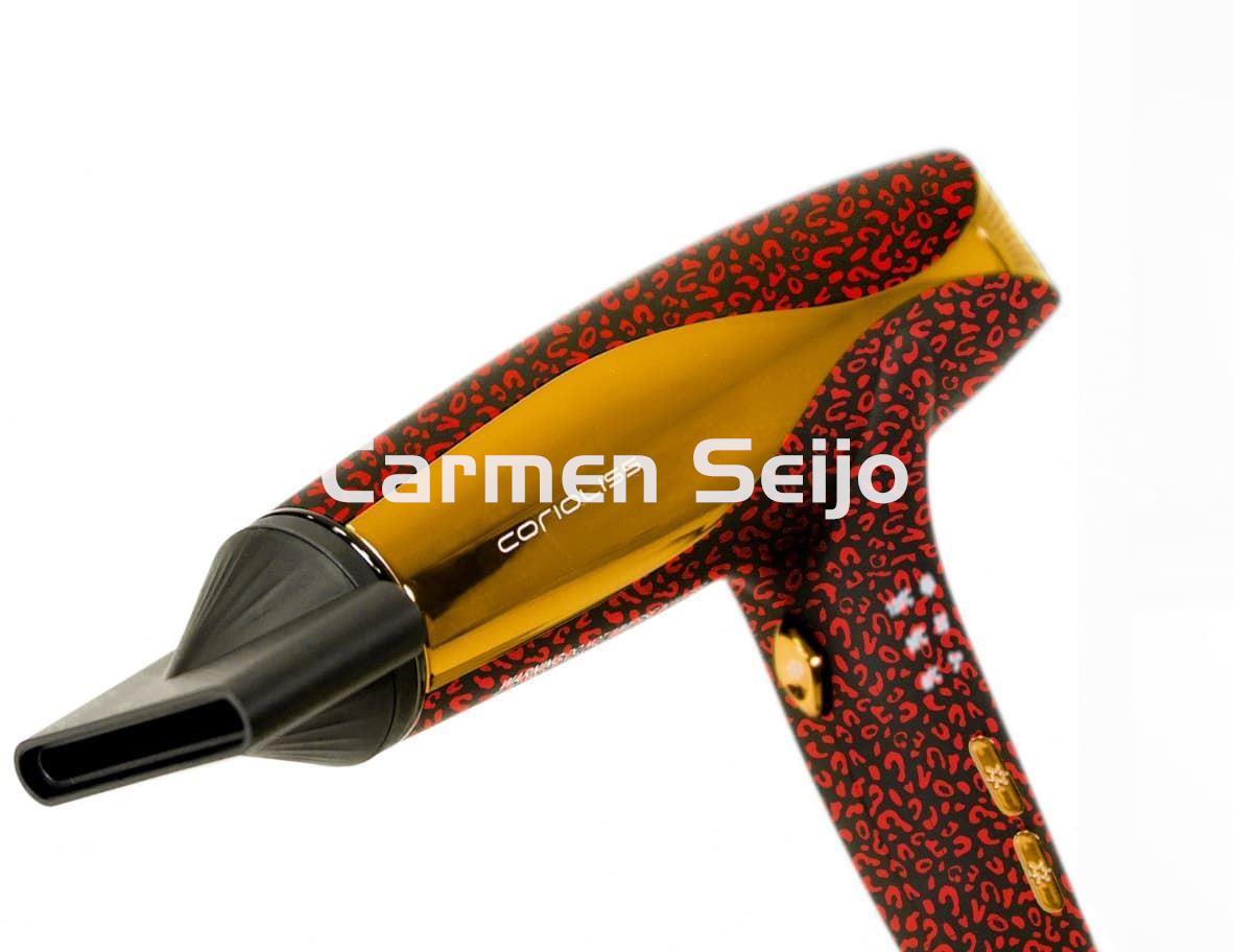 Corioliss Plancha C5  + Secador WIND RED LEOPARD - Imagen 2