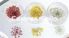 Crisnail Flores secas prensadas para decoración. - Imagen 1