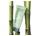 Germaine de Capuccini Exfoliante Corporal Green Soul Scrub Perfect Forms - Imagen 1