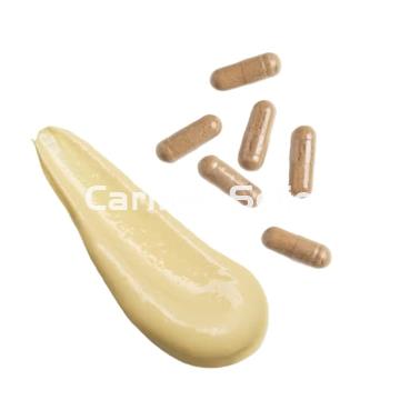 Germaine de Capuccini Pack Activador del Bronceado 48H Timexpert Sun - Imagen 2