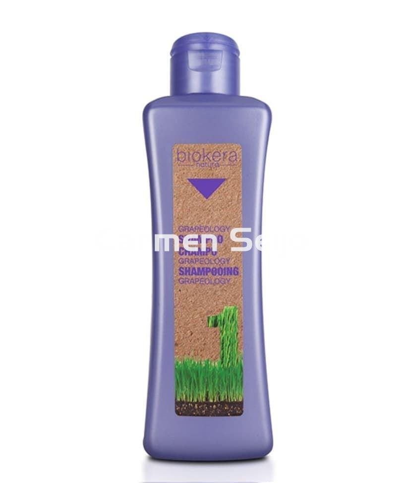 Salerm Champú Grapeology Biokera Natura - Imagen 1