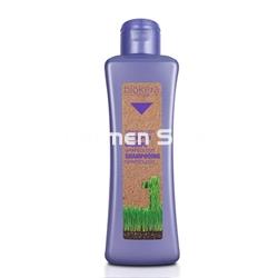 Salerm Champú Grapeology Biokera Natura - Imagen 1
