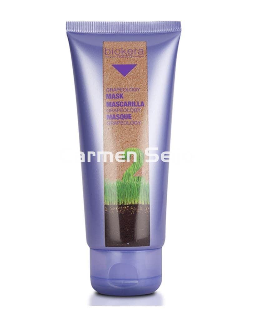 Salerm Mascarilla Protección Color Grapeology Biokera Natura - Imagen 1