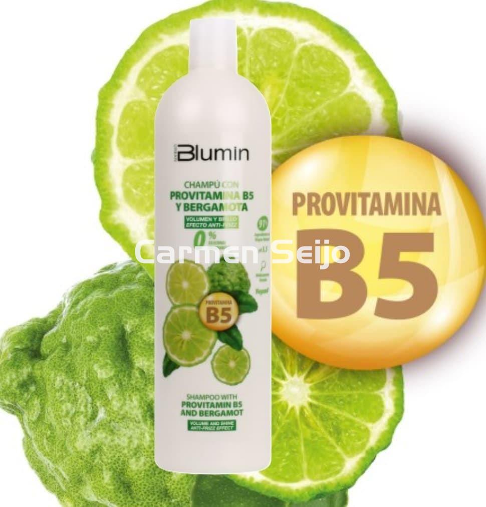 Tahe Champú Anti-Frizz con Bergamota Blumin - Imagen 1