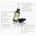 Transparent Clinic Concentrado Regulador Control Oil - Imagen 2